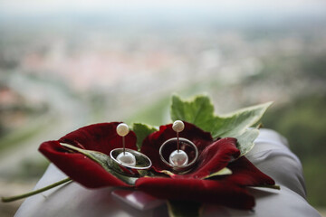 wedding rings on a flower leaf