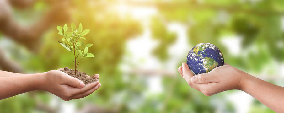 Environment day concept. hands holding tree and earth globe over green nature background. Elements of this image furnished by NASA