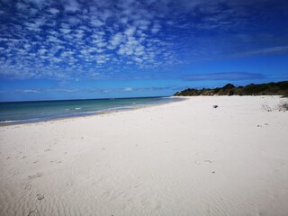 Sisters Beach - beautiful blue sky day on the north west Tasmanian coast with white sands and aqua blue seas - Australia