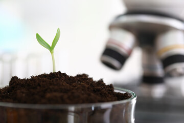 Green sprout in a glass bowl near the microscope. Soil research for growing plants. Experience with...
