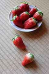 Fresh harvested strawberries on japanese tatami.
