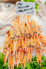Lots of crayfish, langoustines in ice, decorated with greenery, at the fish market. Useful product. Sale of seafood in Bazaar, delicacies, expensive product, healthy protein-rich food