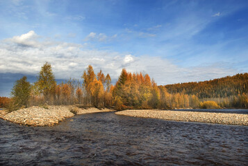 Expedition to taiga forest area