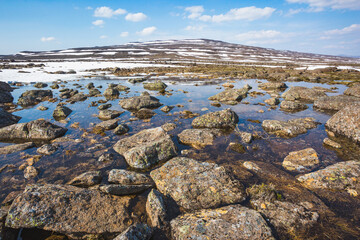 Fototapeta na wymiar Puddles and stones on Putorana Plateau, Taimyr. Russia