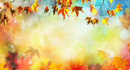 Naklejka na ściany i meble an autumn natural background