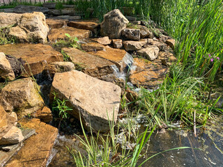 Obraz premium Grass and large stones on the lake shore. Birches of the lake on a summer day. Recreation by the lake, picnic, camping.
