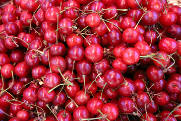 Fresh Cerasus pattern. Japanese cherry fruit, Prunus background.