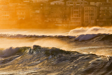 Sea Bondi Houses waves yellow