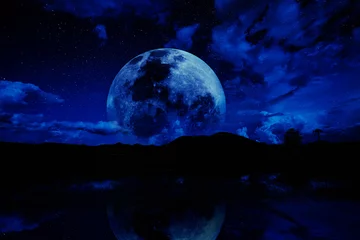 Papier Peint photo Pleine Lune arbre ciel nocturne avec la lune et les étoiles.