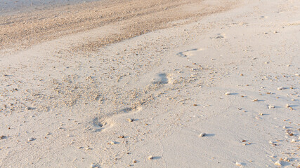 Footprints on the white sand of tropical beach at sunrise. Koh Phangan island, Thailand. Background.