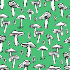 Mushroom pattern. Handmade graphics. Background for children and adults. Edible mushrooms and toadstools. Healthy food illustration. Autumn forest plants, mushroom. sketches for textiles, wallpaper, c