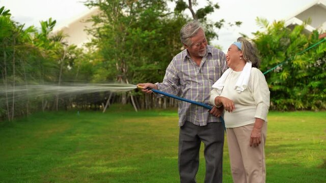 Asian elderly couples are using rubber tube to water the plants in the backyard. The hobby of the elderly
