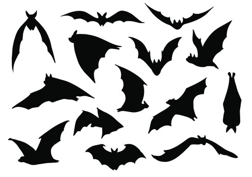 Bat Outline Images &#8211; Browse 35,259 Stock Photos, Vectors, and ...