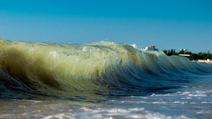 Fototapete bei efototapeten.de bestellen   