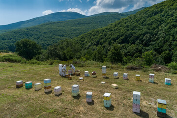 Beekeepers working to collect honey