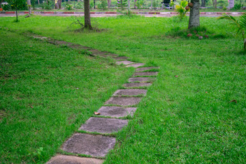 Fototapeta na wymiar walking path with the green grass
