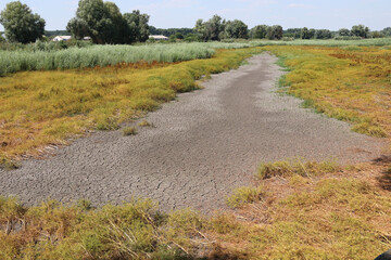 Cracked bottom of a dry river.  Concept global warming.