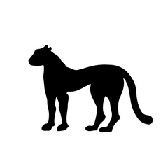 Cheetah silhouette vector illustration.