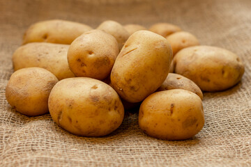 Tubers of young potatoes of a new crop lying on a table covered with burlap.