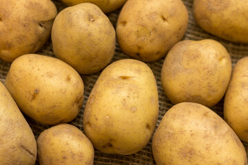 Tubers of young potatoes of a new crop lying on a table covered with burlap.