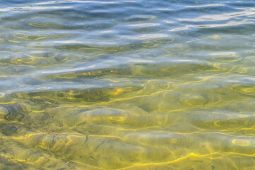 Beautiful sandy bottom of the lake. View through clear water