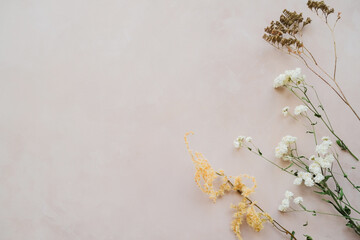 Twigs of dried flowers on pastel pink backdrop. Copy space.