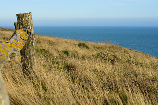 Grassy Knoll Overlooking The Atlantic Ocean