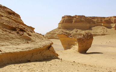 Object of fossil and desert in the exhibition display of wadi hitan Unison world heritage site at...
