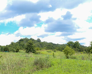 Obraz premium landscape with blue sky and clouds