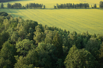 Harvest fields from above the ground