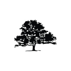 Oak tree nature leaf silhouette creative logo vector illustration graphic