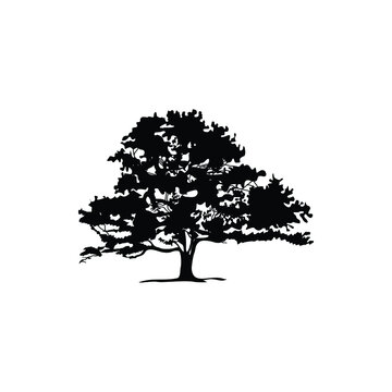 Oak Tree Silhouette Images – Browse 101,328 Stock Photos, Vectors, and  Video | Adobe Stock