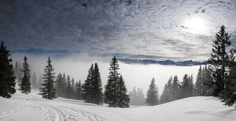 Snow covered mountains with inversion valley fog and trees shrouded in mist. Panoramic snowy winter landscape in Alps at sunrise morning. Allgau, Kleinwalsertal, Bavaria, Germany.