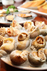 Ingredient Of The Snail On A Plate Of Ice 