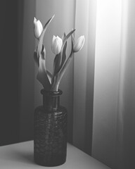 artistic photo with flowers in a vase