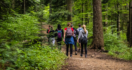 Hiking group of people in a forest
