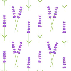 Lavender flowers seamless pattern.