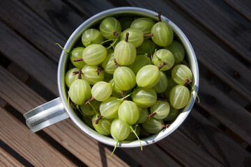 Mug with green gooseberries on a wooden lattice