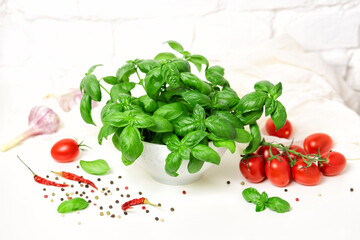 Fresh basil in a bowl and red tomatoes. Kitchen garden on a white table, brick wall. Copy space for text