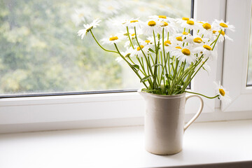Chamomile Bouquet in a vase on the window