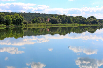 Naklejka na ściany i meble panoramic view of a summer lake with a lonely duck