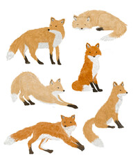 set of fox