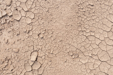 Dry soil ground cracks background texture in drought, Top view