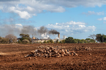 Zuckerrohverarbeitung, Ruhm Herstellung, Mauritius 