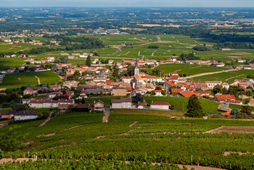 Paysage du vignoble du Beaujolais autour du village de Fleurie dans le département du Rhône en...