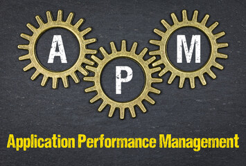 APM Application Performance Management