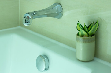 Modern Bathtub Faucet and Potted Plant Decorative in the Bathroom