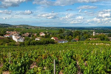 Fototapeta na wymiar Le village de Villié-Morgon dans le vignoble du Beaujolais dans le département du Rhône en France