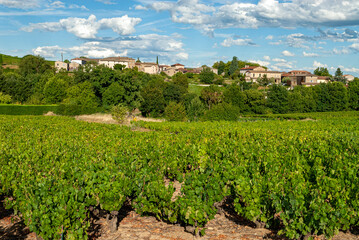 Fototapeta na wymiar Le village de Morgon dans le vignoble du Beaujolais dans le département du Rhône en France