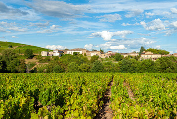 Fototapeta na wymiar Le village de Morgon dans le vignoble du Beaujolais dans le département du Rhône en France